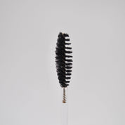 Disposable Eyelash Brushes