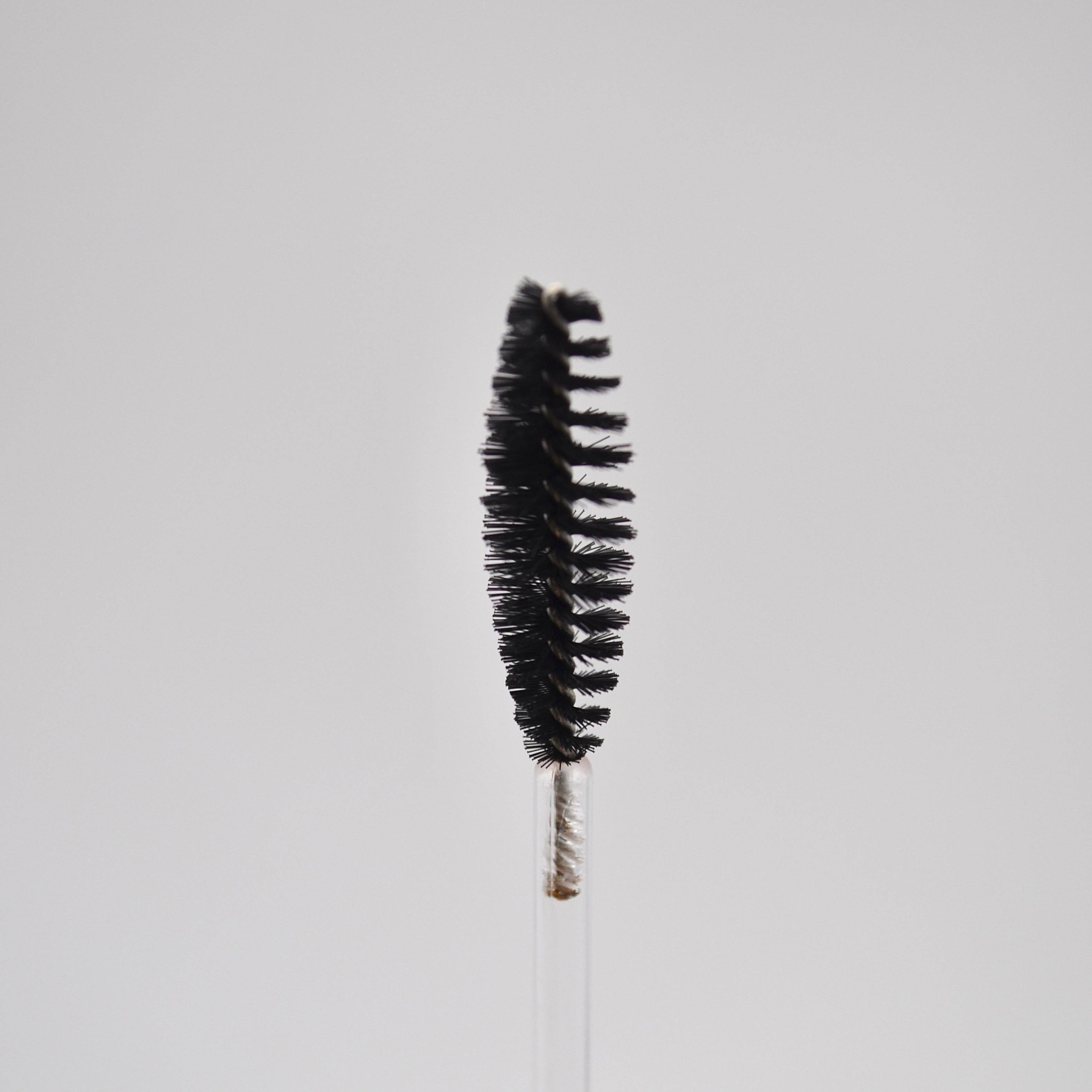 Disposable Eyelash Brushes