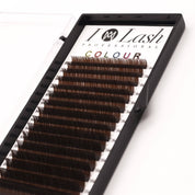 Rich Brown Lashes