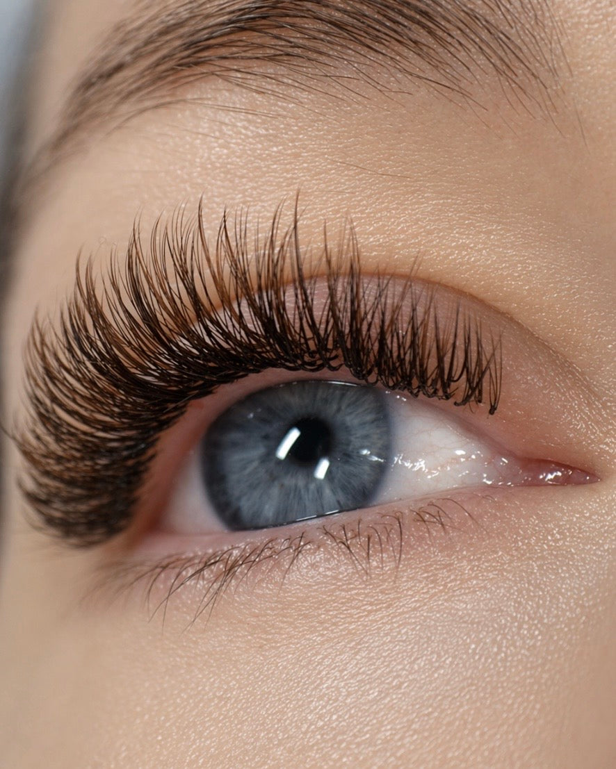 Brown Lash Extensions: Why They are Trending in 2026