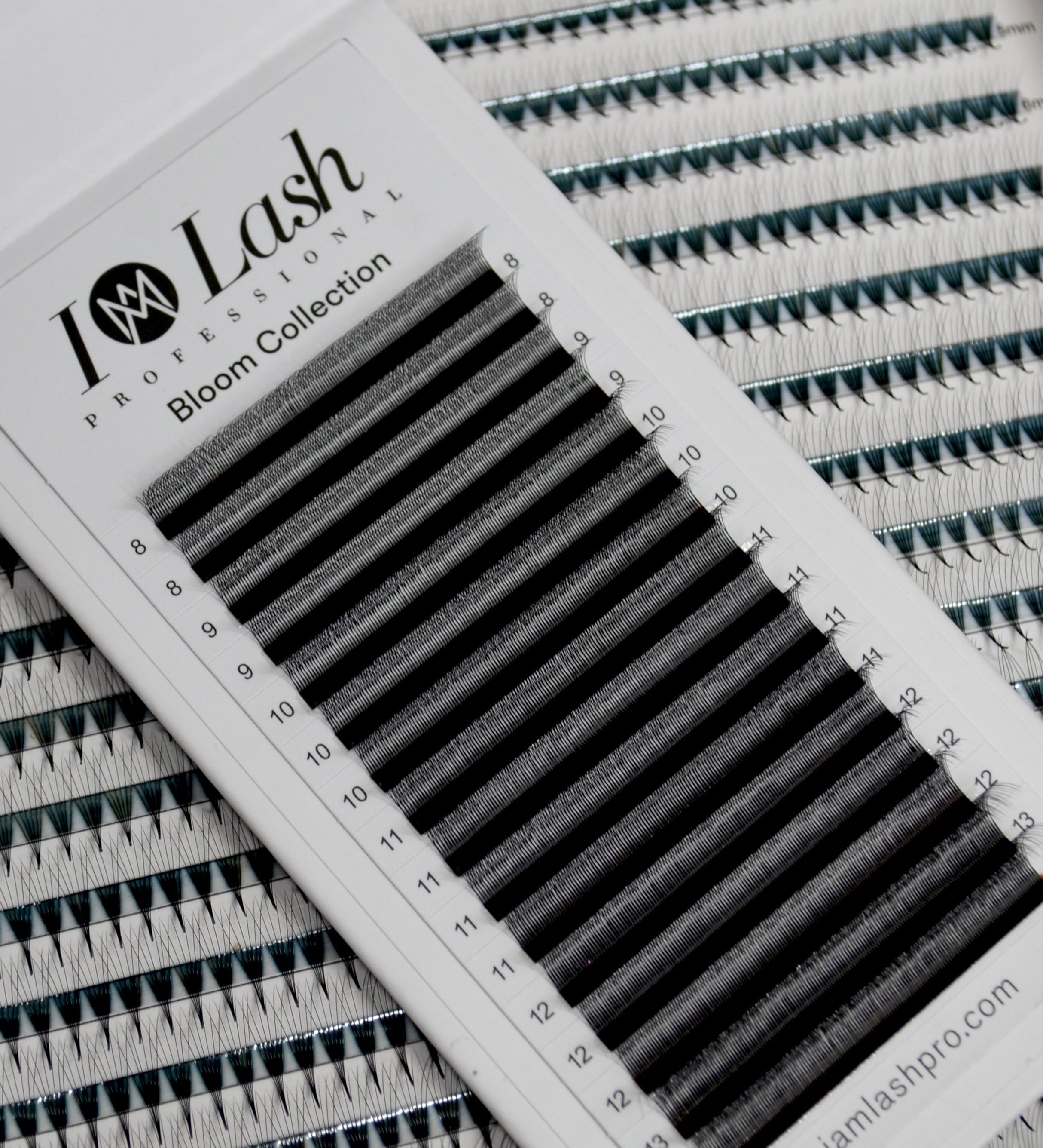 Pre-made volume fans. W lashes. 3D Volume Lashes and 4D Volume Lashes