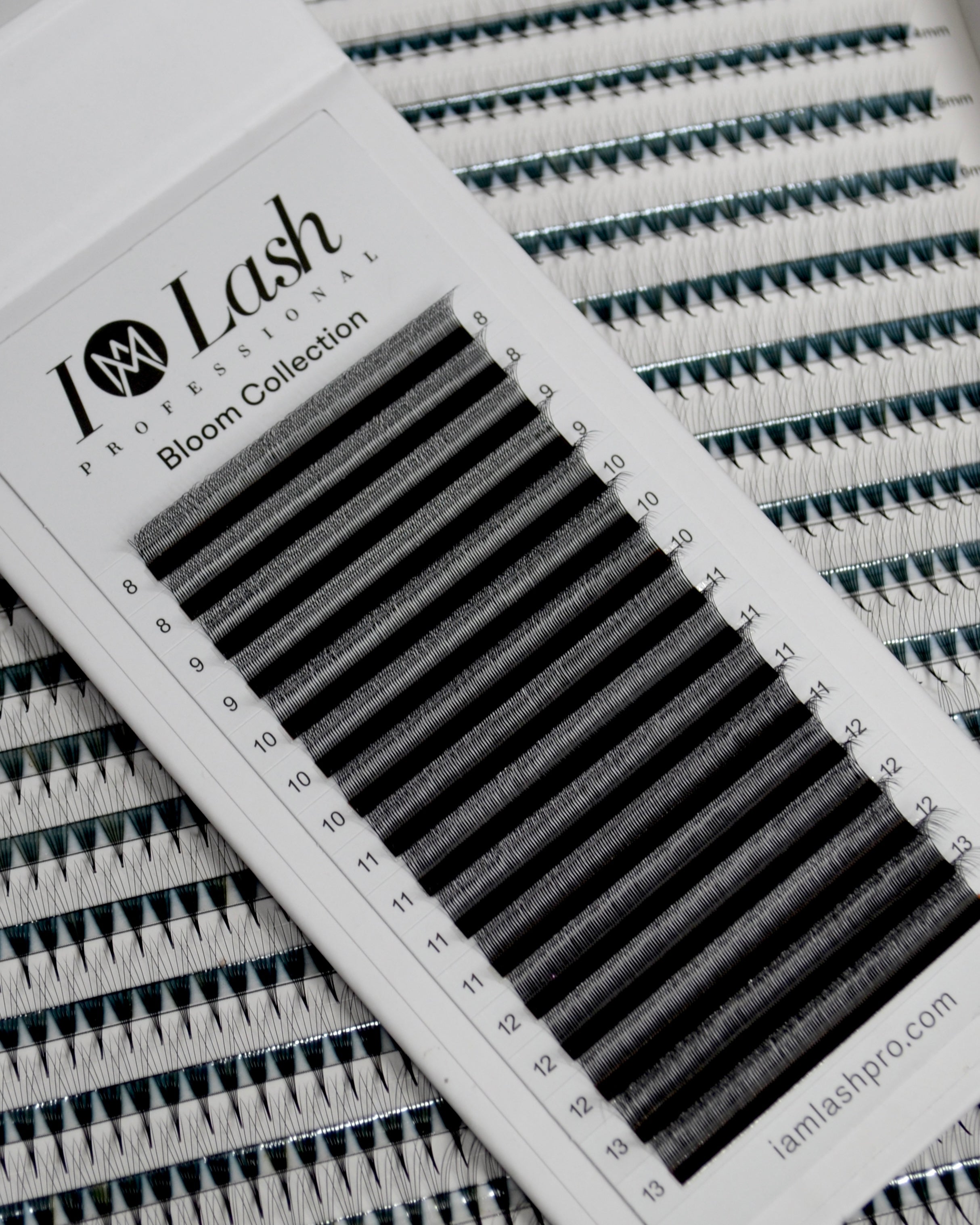 Pre-made volume fans. W lashes. 3D Volume Lashes and 4D Volume Lashes