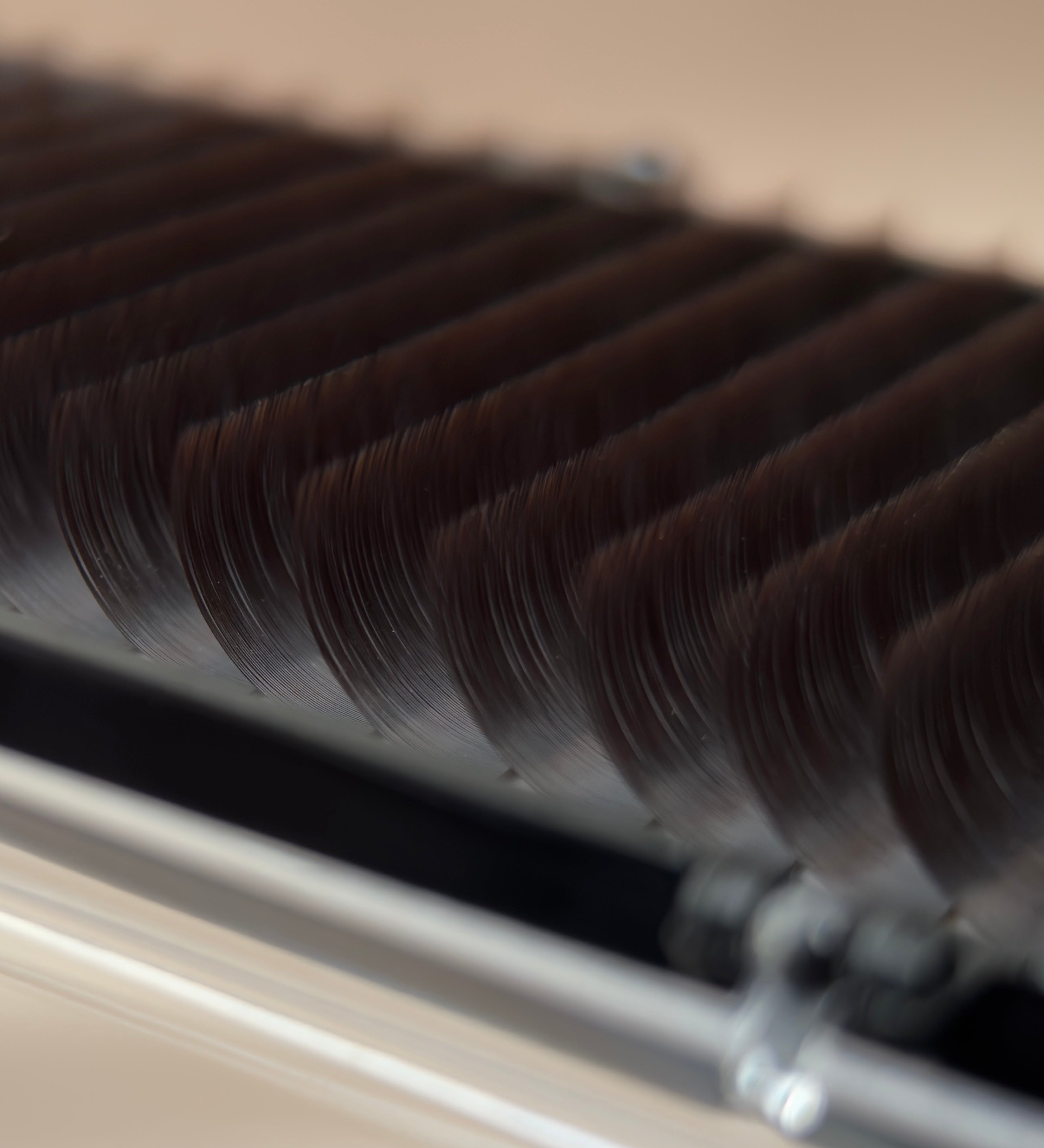 Close-up of a dark brown eyelash extensions with dense fibres  in lash tray.