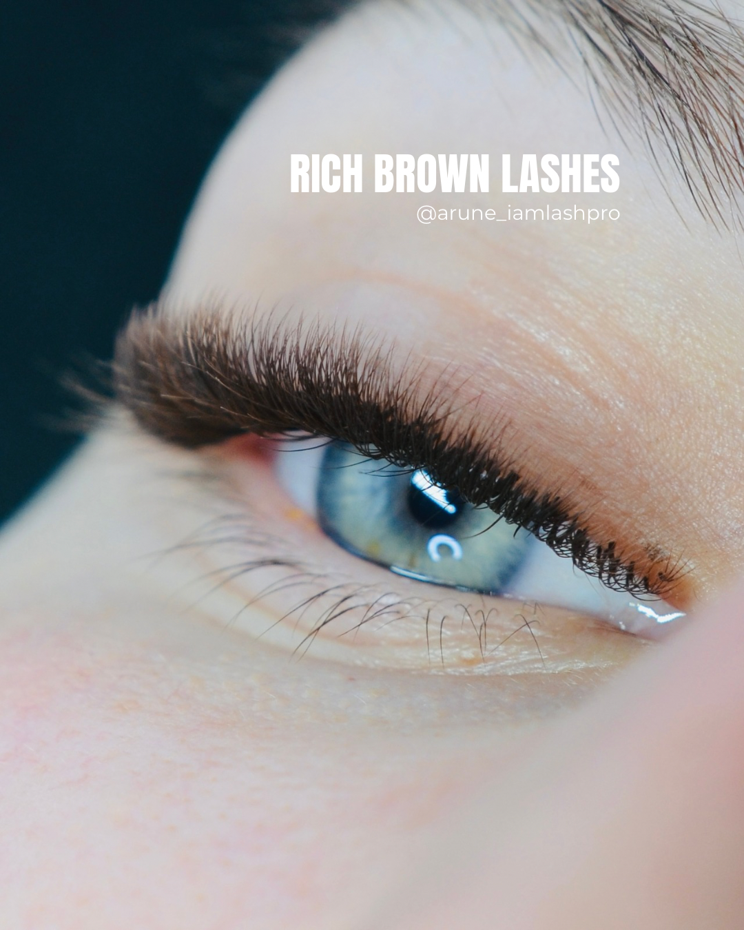 Brown Lashes