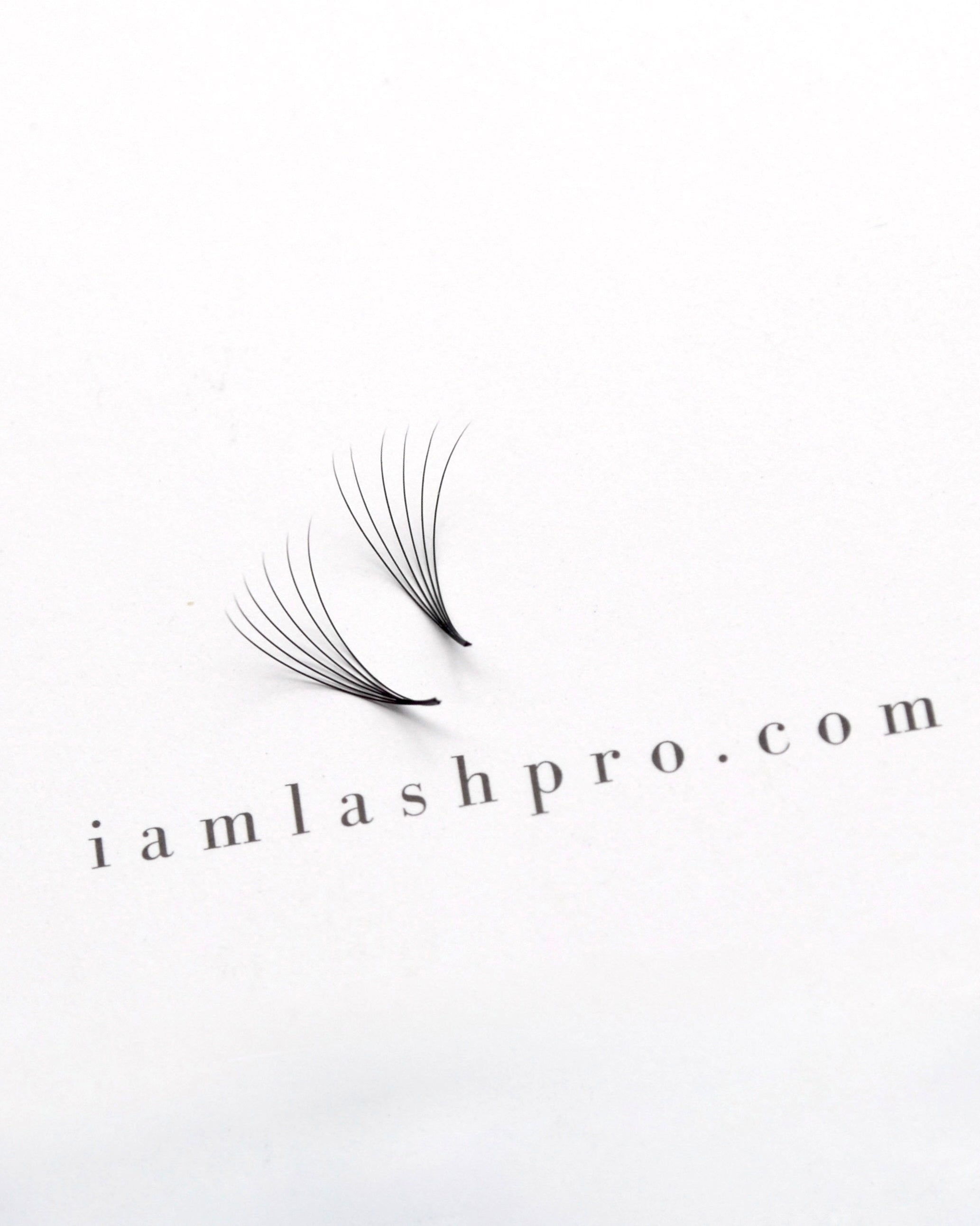 Lash Trays