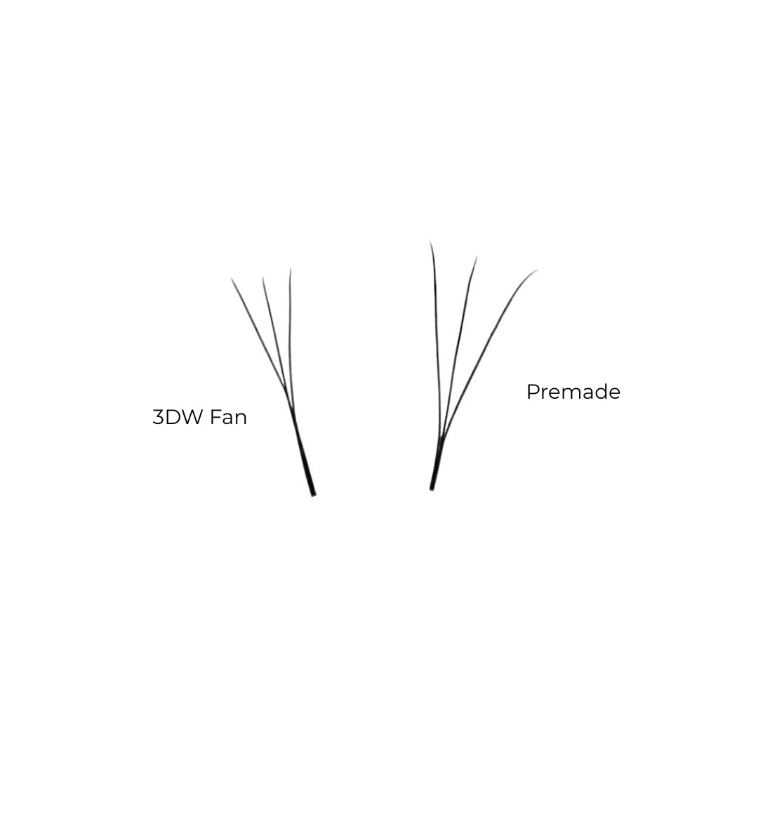 'W lash extensions vs premade fans comparison