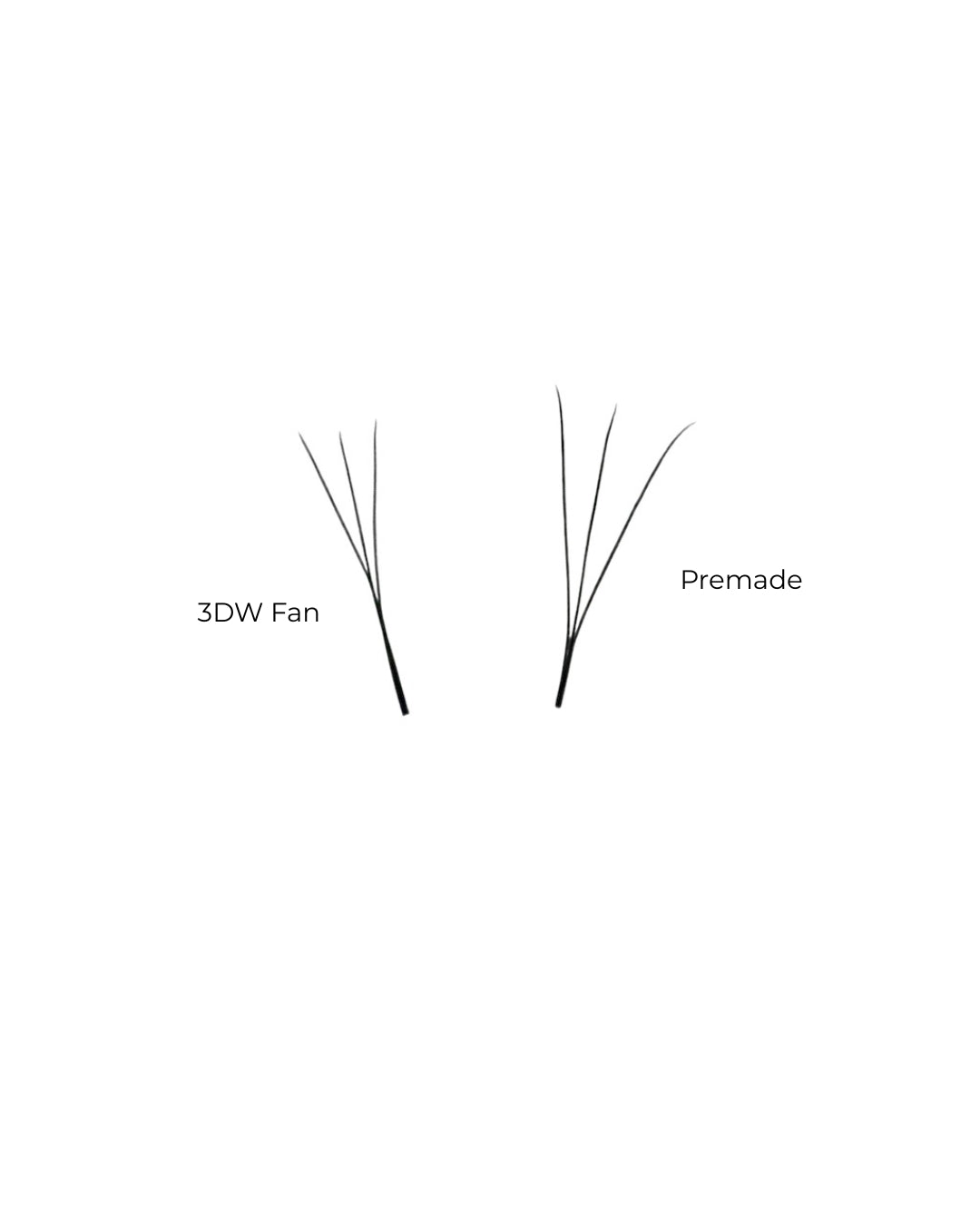 'W lash extensions vs premade fans comparison