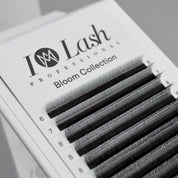 3D pre made volume fans