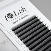 4D volume fans. Pre-made 4DW volume fans