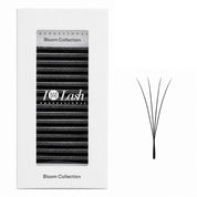 Pre-made 4DW volume fan eyelash extensions by I AM Lash, showcasing layered, fan-shaped synthetic lashes for full, dramatic lash looks.