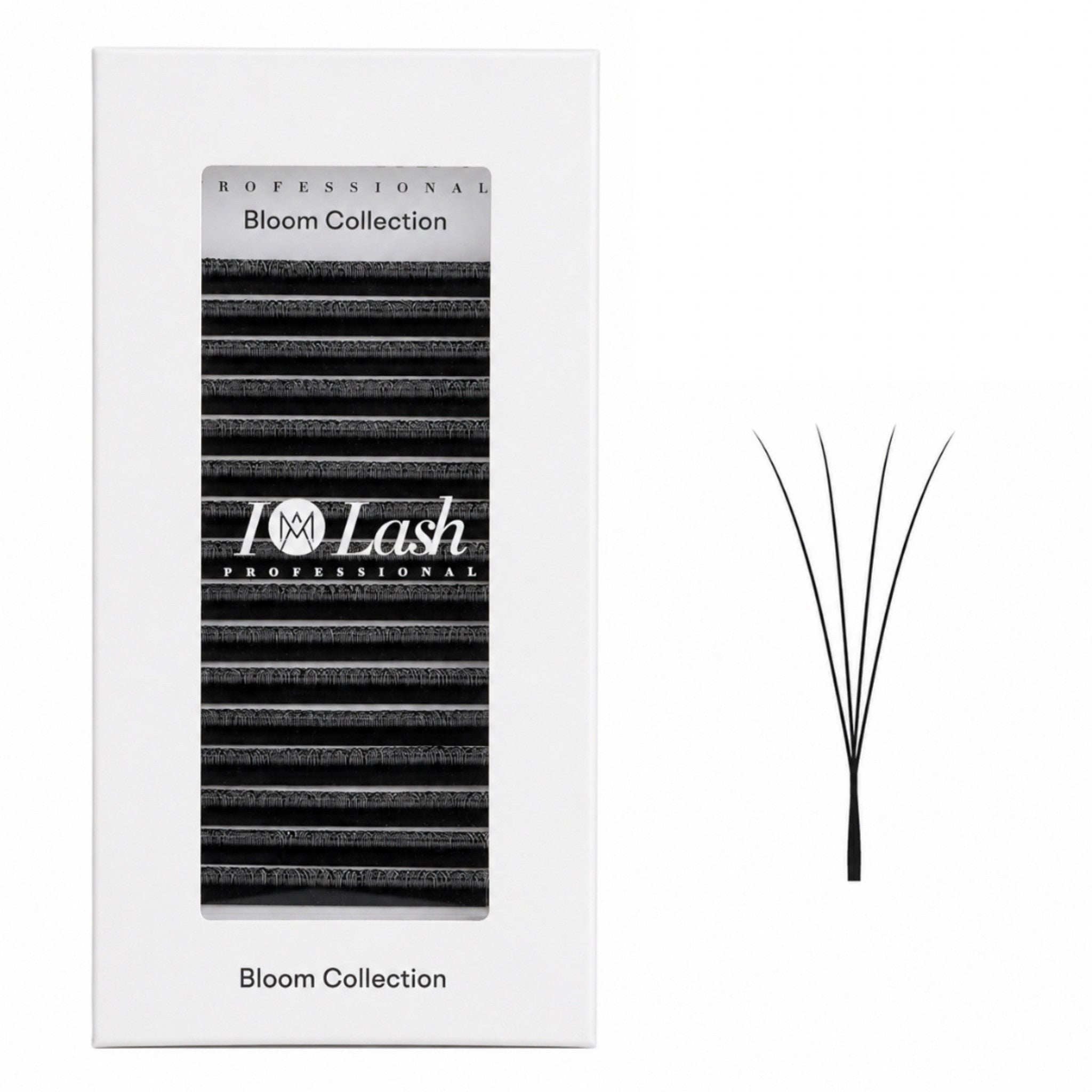 Pre-made 4DW volume fan eyelash extensions by I AM Lash, showcasing layered, fan-shaped synthetic lashes for full, dramatic lash looks.