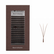 Brown 3DW eyelash extension volume fans by I AM Lash, featuring pre-made, full fan lashes for luxurious lash extensions.