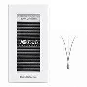 I AM Lash 3DW Pre-Made Volume Fans for eyelash extensions, showcasing neatly arranged synthetic lash fans on a white background.