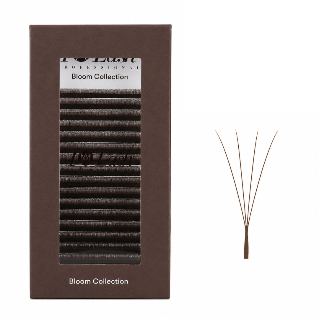 Brown 4DW pre-made volume eyelash extension fans by I AM Lash, showcasing full, natural-looking lash fans for extensions.