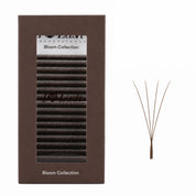 Brown 4DW pre-made volume eyelash extension fans by I AM Lash, showcasing full, natural-looking lash fans for extensions.