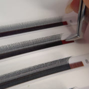 3D Volume Fans. Speedy volume lashes