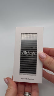 4DW pre made volume fans. Fast volume lashes