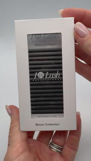 4D pre made volume fans.  4DW Lashes