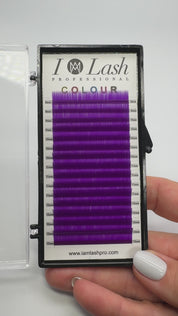 Purple Lashes