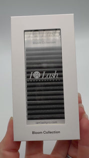 3D Pre made volume fans. 3DW Lashes