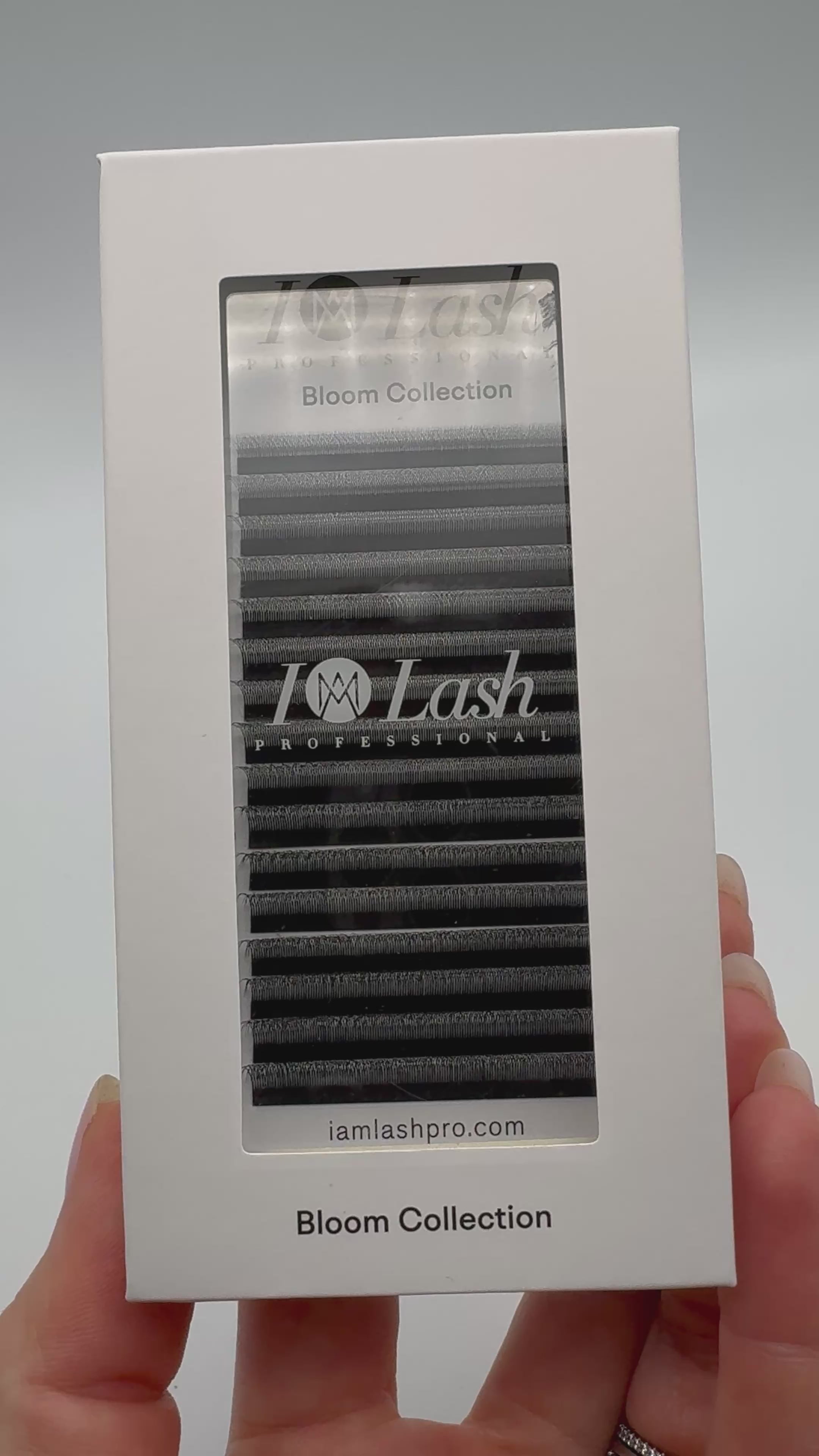 3D Pre made volume fans. 3DW Lashes