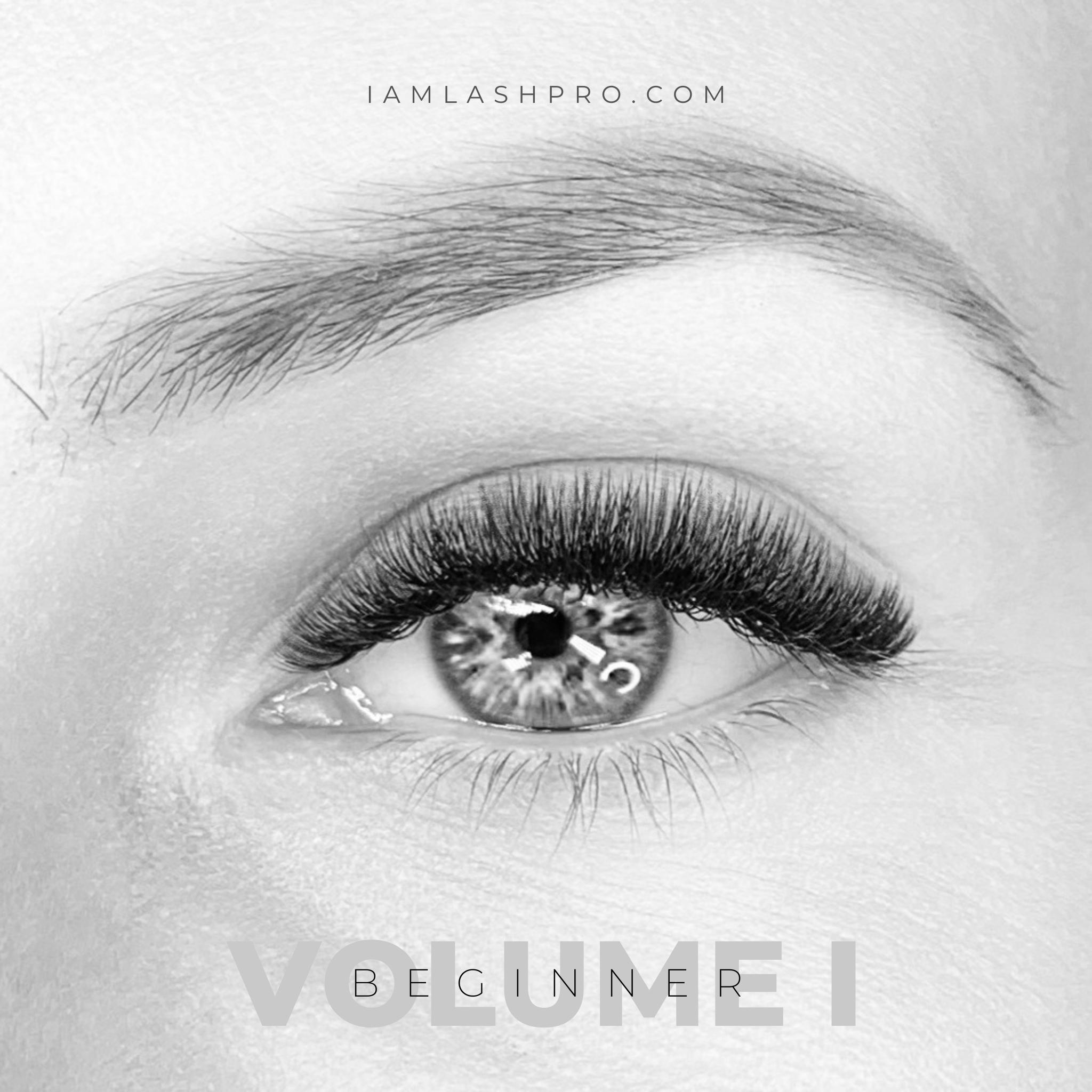 Beginner Volume Training